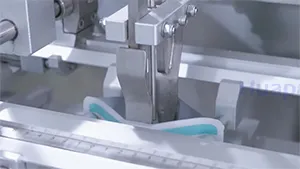 Машина для упаковки порошков в готовые пауч-пакеты 180NG