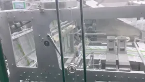 Горизонтальная фасовочно-упаковочная машина для пакетов дой-пак с двумя дозирующими головками