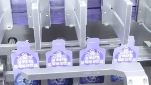 Горизонтальная фасовочно-упаковочная машина для формирования фигурных пауч-пакетов из рулона с четырьмя дозирующими головками